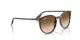 Ray-Ban RB 2204 143151