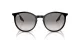 Ray-Ban RB 0RB2204 901/32