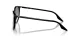 Ray-Ban RB 0RB2204 901/32