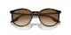 Ray-Ban RB 0RB2204 902/51