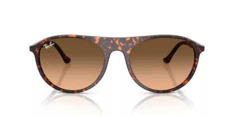 Ray-Ban RB 2215 14293B
