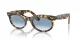 Ray-Ban Wayfarer Oval RB 2242 13323F