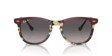 Ray-Ban Eagleeye RB 0RB2398 1377M3