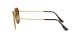 Ray-Ban Hexagonal RB 3548N 001/57