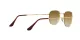 Ray-Ban Hexagonal RB 3548 001/51