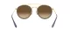 Ray-Ban RB 3647N 001/9U