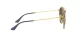 Ray-Ban RB 3647N 001/9U