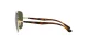 Ray-Ban RB 3683 001/31