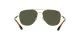 Ray-Ban RB 3683 001/31