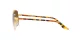 Ray-Ban RB 3699 001/51
