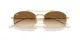 Ray-Ban RB 0RB3719 001/51