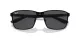 Ray-Ban RB 0RB3721 186/87