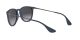 Ray-Ban Erika RB 4171 6002/8G Női napszemüveg Ray-Ban Erika RB 4171 6002/8G Női napszemüveg