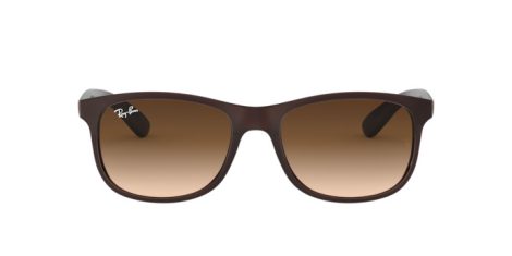 Ray-Ban Andy RB 4202 6073/13 Férfi napszemüveg Ray-Ban Andy RB 4202 6073/13 Férfi napszemüveg