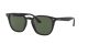 Ray-Ban RB 4258 601/71 Férfi, Női napszemüveg
