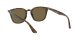 Ray-Ban RB 4258 710/73 Férfi, Női napszemüveg