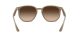 Ray-Ban RB 4306 6166/13 Férfi, Női napszemüveg