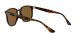 Ray-Ban RB 4306 710/83 Férfi, Női napszemüveg