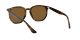 Ray-Ban RB 4306 710/83 Férfi, Női napszemüveg
