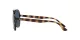 Ray-Ban RB 4376 710/80