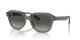 Ray-Ban Erik RB 0RB4398 667571