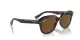 Ray-Ban Erik RB 0RB4398 902/57