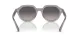 Ray-Ban Gina RB 0RB4399 6429M3