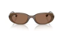 Ray-Ban RB 4441D 677973