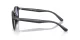 Ray-Ban RB 4459D 623019