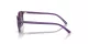 Ray-Ban Junior Leonard RJ 9093S 713136