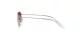 Ray-Ban Junior Round RJ 9547S 291/8H