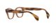 Ray-Ban RX 0880 8180