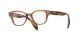 Ray-Ban RX 0880 8180