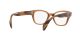 Ray-Ban RX 0880 8180