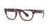 Ray-Ban Laramie RX 2201V 8118