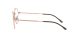Ray-Ban David RX 3582V 2943
