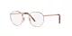 Ray-Ban New Round RX 3637V 3094