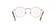 Ray-Ban New Round RX 3637V 3094