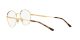 Ray-Ban RX 3681V 2500