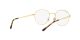 Ray-Ban RX 3681V 2500