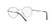 Ray-Ban RX 3681V 2502