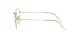 Ray-Ban Frank RX 3857V 3086