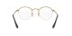 Ray-Ban Round Gaze RX 3947V 2500