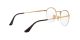 Ray-Ban Round Gaze RX 3947V 2500