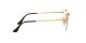 Ray-Ban Round Gaze RX 3947V 2500