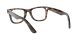 Ray-Ban Wayfarer Ease RX 4340V 2012