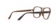 Ray-Ban Stateside RX 4356V 8135