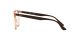 Ray-Ban RX 4378V 8172