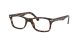 Ray-Ban RX 5228 2012