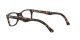 Ray-Ban RX 5228 2012
